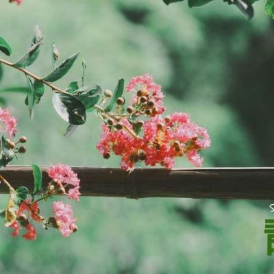 天博体育官网入口手机app下载