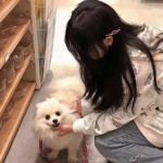 云开官方app下载